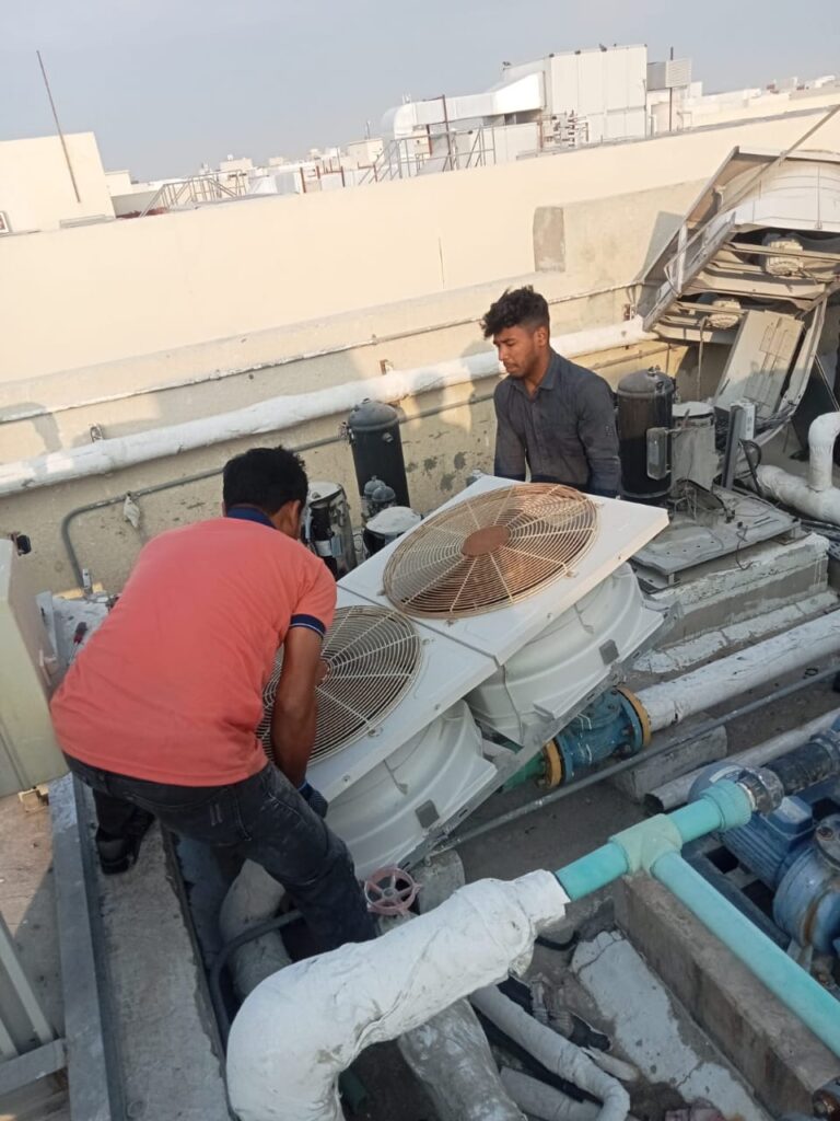 whatsapp image 2026 01 31 at 20.06.09